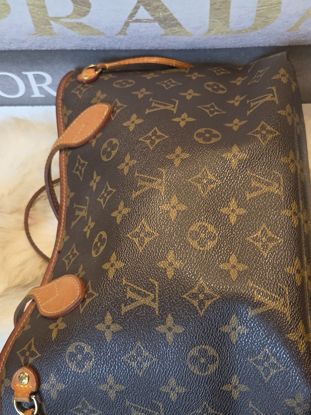 Authentic Louis Vuitton Neverfull PM - Picture 4 of 11